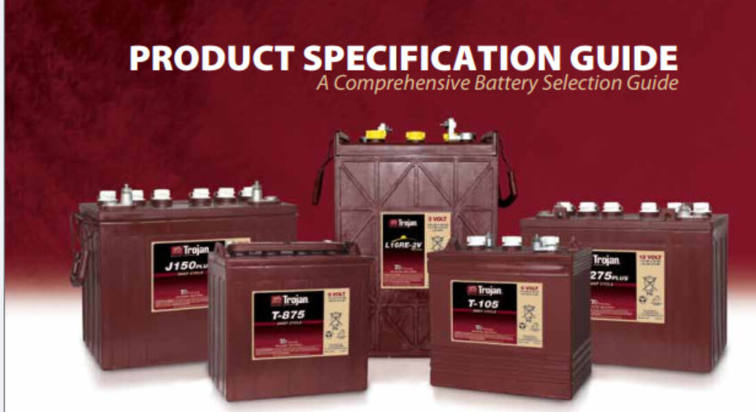 ac-quy-xe-nang-nguoi